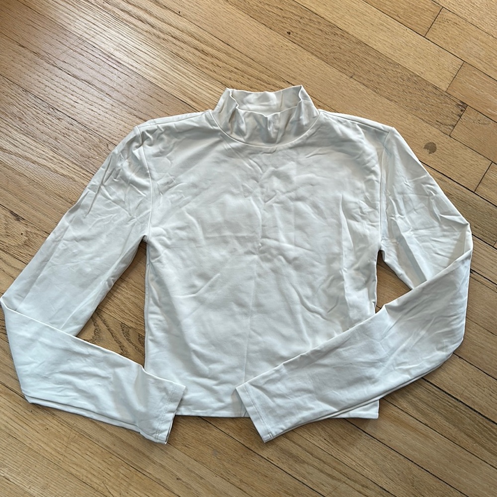 Aritzia Babaton Contour Mockneck Longsleeve